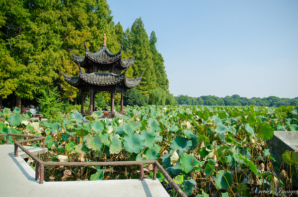 ▲杭州旅游 西湖十景。（图／Xavier元创主义提供）
