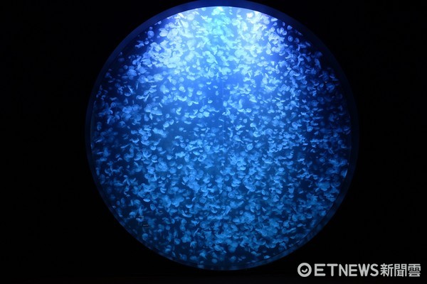 ▲加茂水族馆。(图/记者于佳云摄)