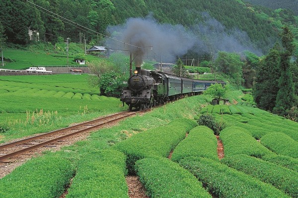 ▲富士静冈。（图／七逗旅游网提供）