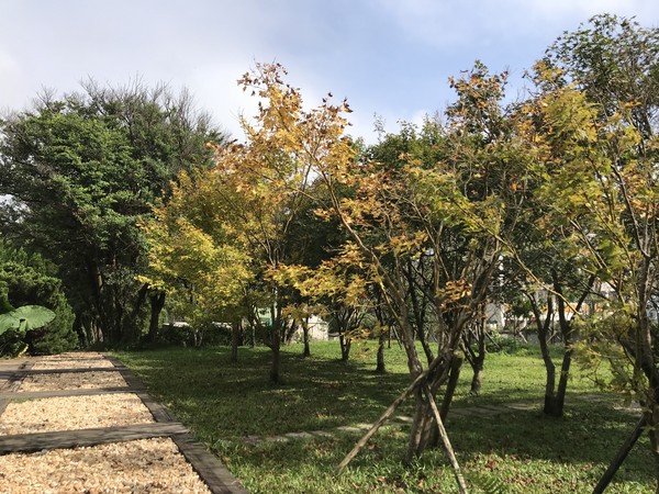 ▲花卉试验中心。(图/台北市政府提供)