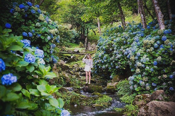 ▲高山青农场。(图/记者陈涵茵摄)