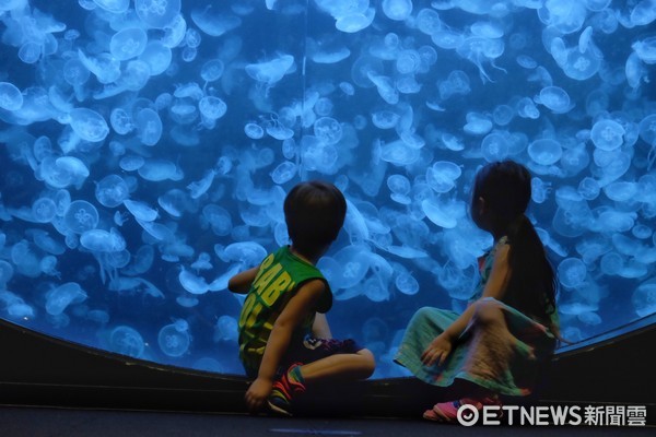 ▲加茂水族馆。(图/记者于佳云摄)