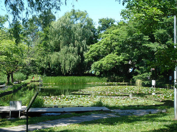 北海道大学。（图／摩那卡）