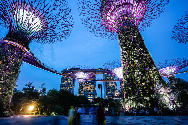 新加坡旅游-滨海湾花园温室：擎天树、灯光秀夜景（图／记者林世文摄）
