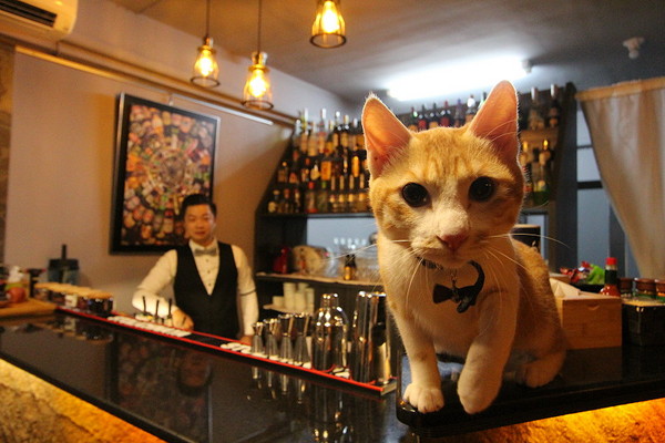 ▲精选垦丁10间特色酒吧。(图、文/Domi(恒春半岛-垦丁杂记))