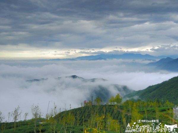 ▲南投鹿谷乡溪头宏亿茶园景观露营地。(图/何师父提供)