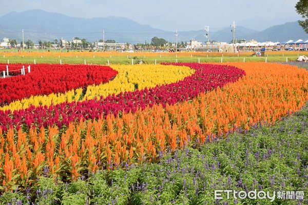 ▲新社花海。(图/农委会提供)