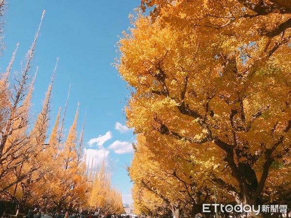 ▲%级?┟髦紊窆?庠芬?印#ㄍ迹??雅ika授权提供,请勿翻摄)