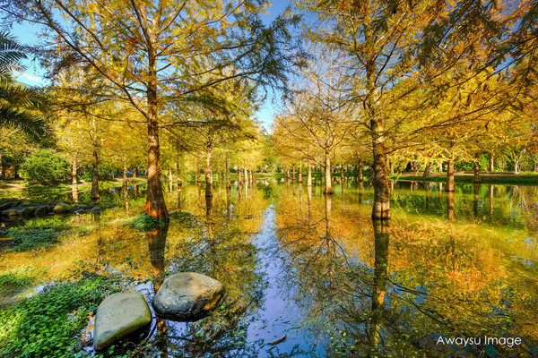 ▲花莲钰展苗圃。（图／阿伟苏摄影）