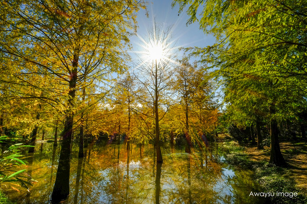 ▲花莲钰展苗圃。（图／阿伟苏摄影）
