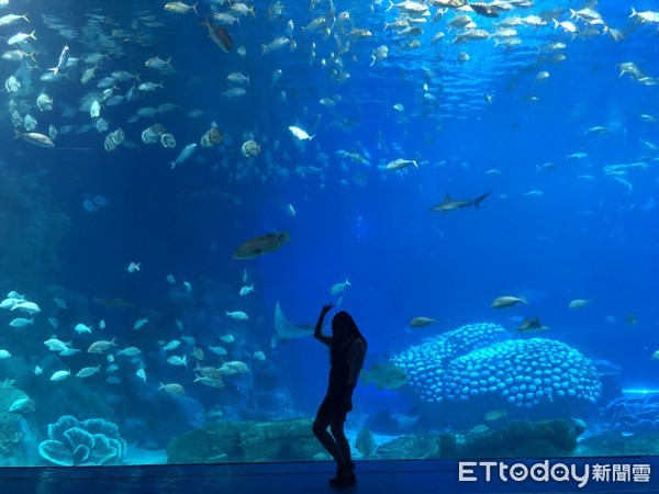 ▲长隆海洋王国。(图/记者陈涵茵摄)