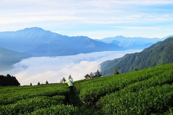 ▲台中近郊户外景点Top5户外露营登山秘境。(图/Tripbaa提供)