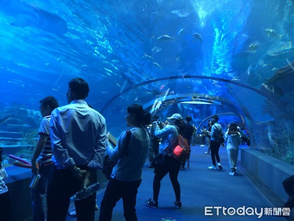 ▲长隆海洋王国。(图/记者陈涵茵摄)