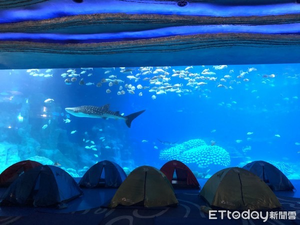 ▲长隆海洋王国。(图/记者陈涵茵摄)