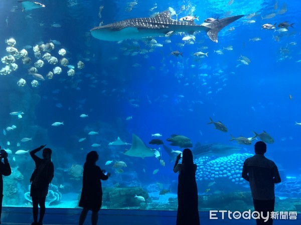 ▲长隆海洋王国。(图/记者陈涵茵摄)