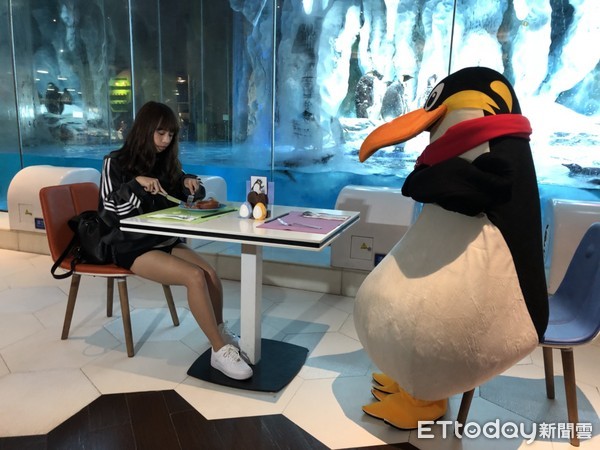 ▲长隆珠海海洋王国企鹅酒店。(图/记者陈涵茵摄)