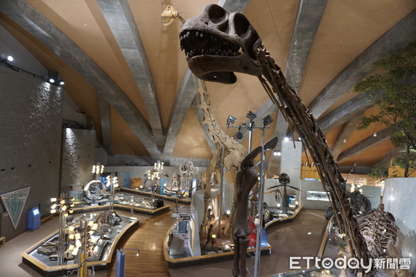 ▲群马自然博物馆。(图/记者严云岑摄)
