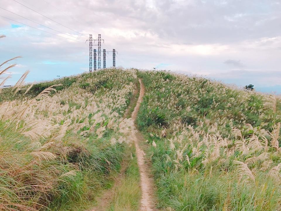 ▲树林、龟山交界的三角埔顶山。(图/记者赖文萱摄)
