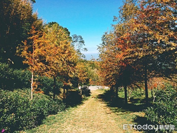 ������������ա���ͼ��������������շ�˿רҳ��