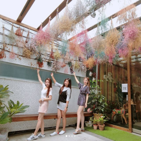 ▲图／IG＠ni_173提供，请勿随意翻拍，以免侵权。