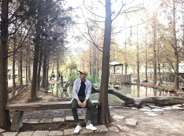 ▲九佃落羽松。(图/IG@cju.1122.tw提供,请勿随意翻拍,以免侵权。)