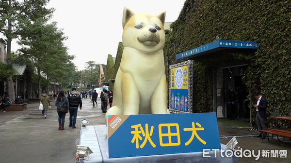 ▲雪人萌翻登场!日本东北游乐日 超人气秋田犬坐镇。(图/记者谢婷婷摄)