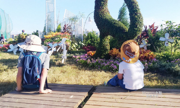 ▲关渡花海节花况更新。(图/Wenwen小姐和宝贝们提供)