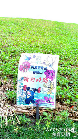 ▲关渡花海节花况更新。(图/Wenwen小姐和宝贝们提供)