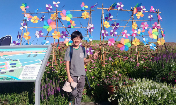 ▲关渡花海节花况更新。(图/Wenwen小姐和宝贝们提供)