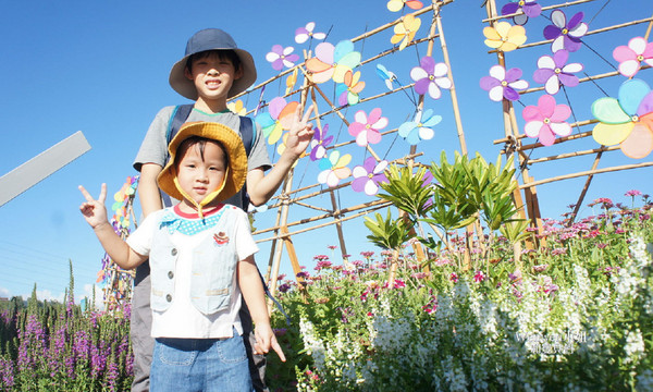 ▲关渡花海节花况更新。(图/Wenwen小姐和宝贝们提供)