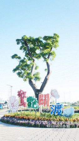 ▲关渡花海节花况更新。(图/Wenwen小姐和宝贝们提供)