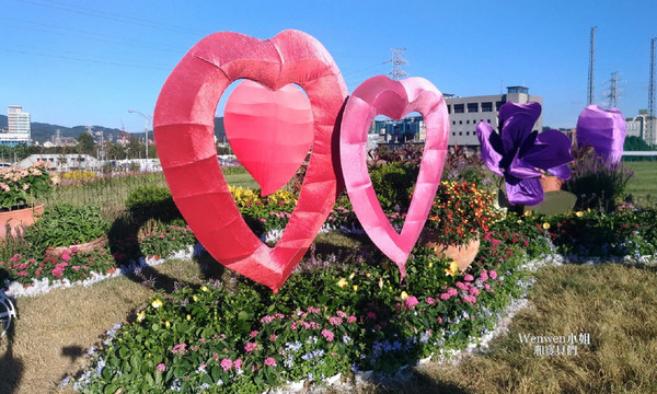 ▲关渡花海节花况更新。(图/Wenwen小姐和宝贝们提供)