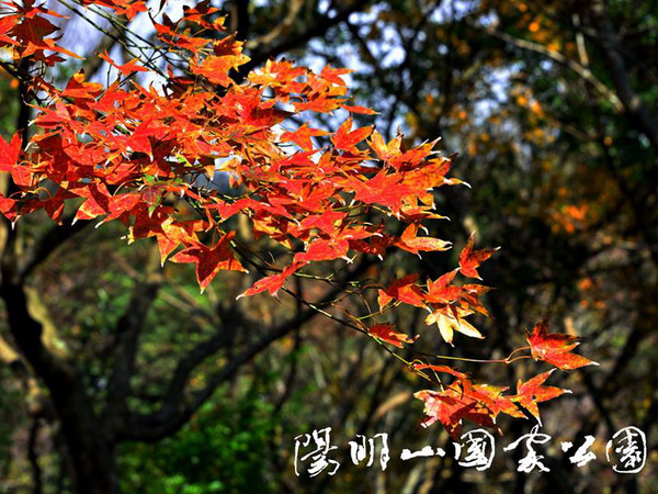 ▲图／阳明山国家公园提供