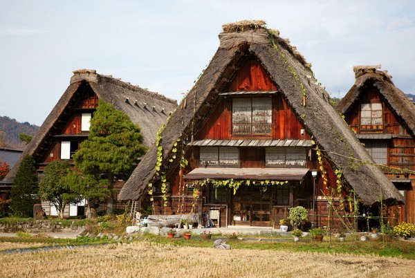 ▲期间限定立山黑部美景。（图／七逗旅游网、Shutterstockｗ提供）
