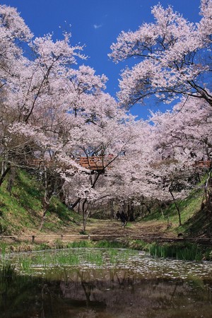 ▲期间限定立山黑部美景。（图／七逗旅游网、Shutterstockｗ提供）