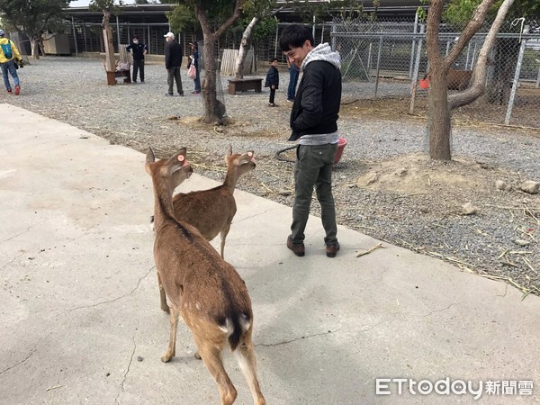 ▲垦丁鹿境。(图/记者华少甫摄)