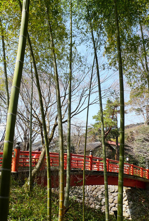 ▲游伊豆赏日本最早樱花。(图/凤凰旅游提供)