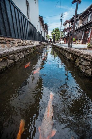 ▲飞?古川白壁土藏街、濑户川。(图/旅。摄。游世界提供)