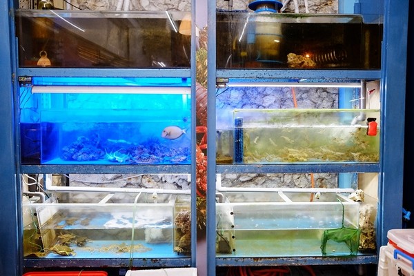 ▲台南 鲨嗑海鲜锅物 。（图／Sean提供）