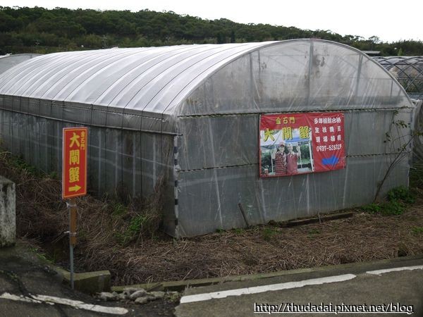 新北市 金石门大闸蟹。(图/三高Sir提供)