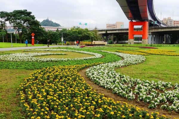 ▲福和河滨花海。(图/台北市政府工务局水利工程处提供)