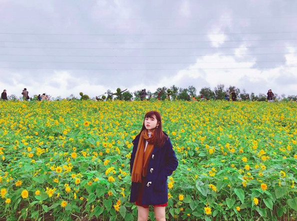 ▲关渡花海(图/网友rube_1102提供,请勿随意翻拍,以免侵权。)