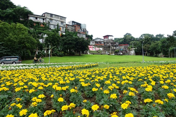 ▲福和河滨花海。(图/台北市政府工务局水利工程处提供)