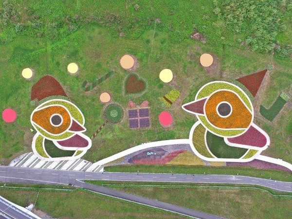 ▲三重河滨鸭鸭地景。(图/新北市政府提供)