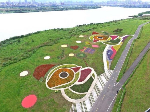 ▲三重河滨鸭鸭地景。(图/新北市政府提供)
