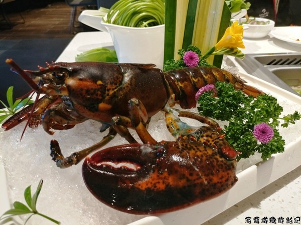 ▲海底捞 自带食材。(图/海霸威食游影记提供,请勿任意翻摄以免侵权)