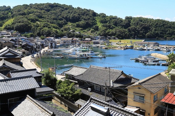 ▲猫奴请留步!冈山寻猫攻略二连发。(图/七逗旅游网、翔笙旅游提供)