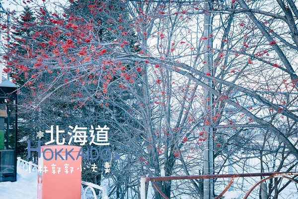 ▲冬天下雪北海道的不开车自由行。(图/小林&郭郭的小夫妻生活提供)