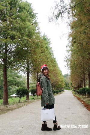 ▲新竹隐藏版落羽松秘境!带圣诞帽免费入园、布景超好拍。(图/ㄚ绫绫单眼皮大眼睛提供,请勿任意翻摄以免侵权)