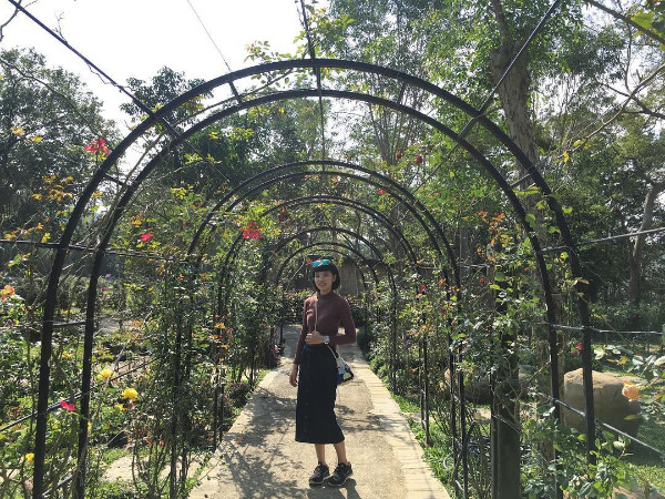 ▲苗栗三义雅闻香草植物工厂。(图/IG@sueshu2160提供,请勿任意转载)